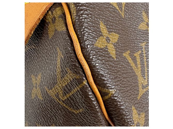 Borsa a mano Louis Vuitton Speedy 30 - vista 4