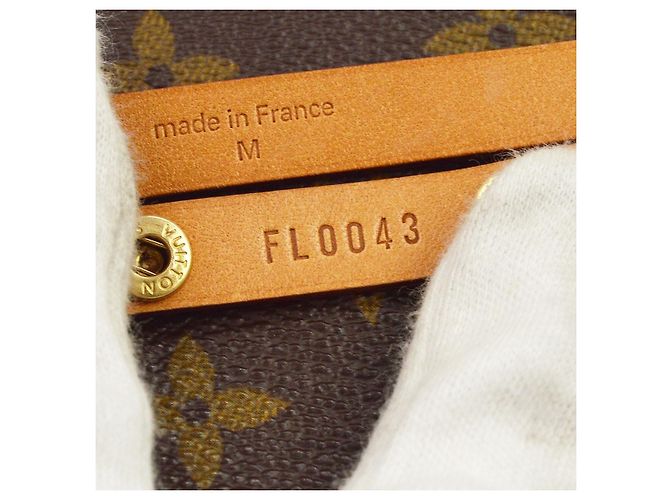Louis Vuitton Florentine Waist Monogram Canvas Medium - vista 6