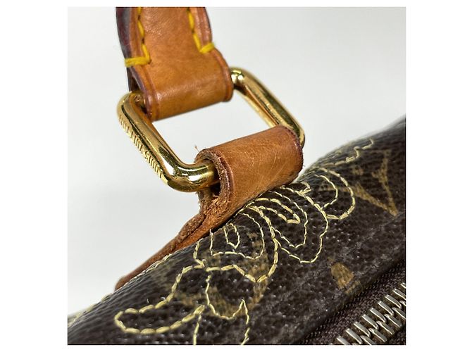 Borsa a mano Louis Vuitton Speedy 30 - vista 5