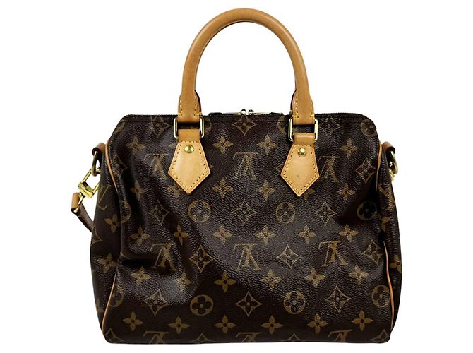 Borsa Louis Vuitton Monogram Speedy Bandoulière 25 - vista 3