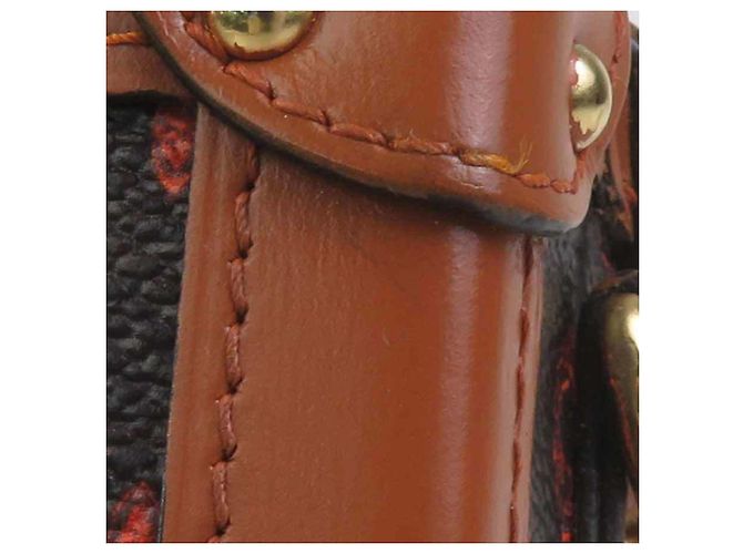 Borsa a tracolla Louis Vuitton Petite Malle NM Catgram - vista 12