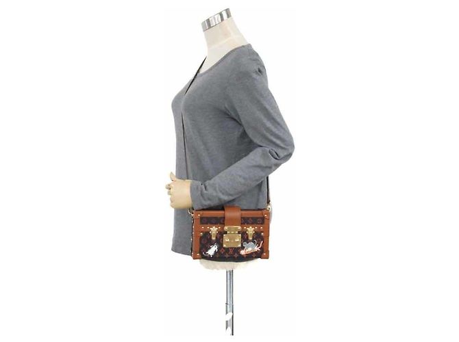 Borsa a tracolla Louis Vuitton Petite Malle NM Catgram - vista 16