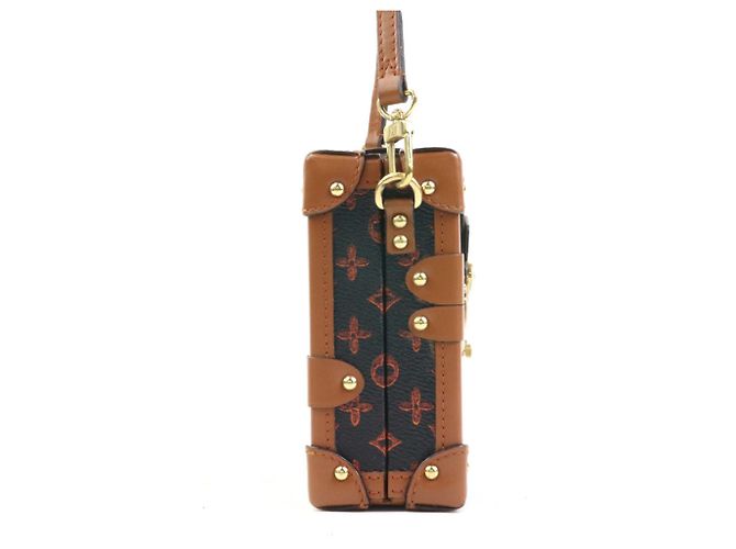 Borsa a tracolla Louis Vuitton Petite Malle NM Catgram - vista 2