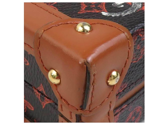 Borsa a tracolla Louis Vuitton Petite Malle NM Catgram - vista 6