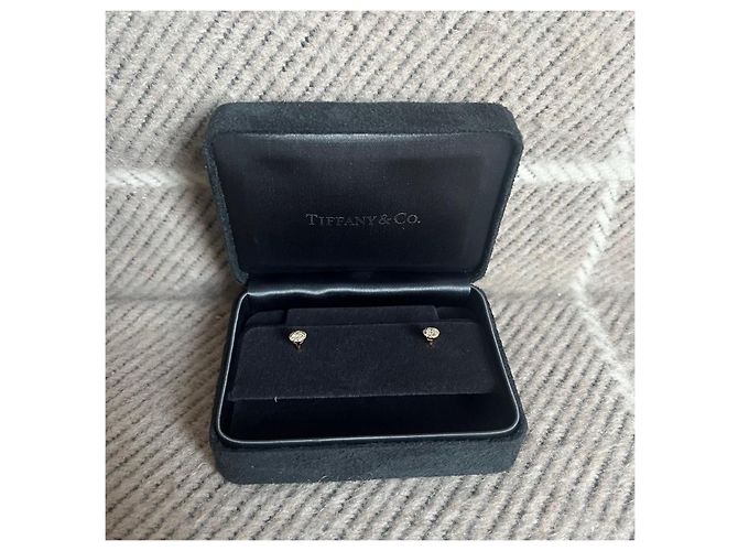 Tiffany & Co Orecchini Tiffany - vista 3