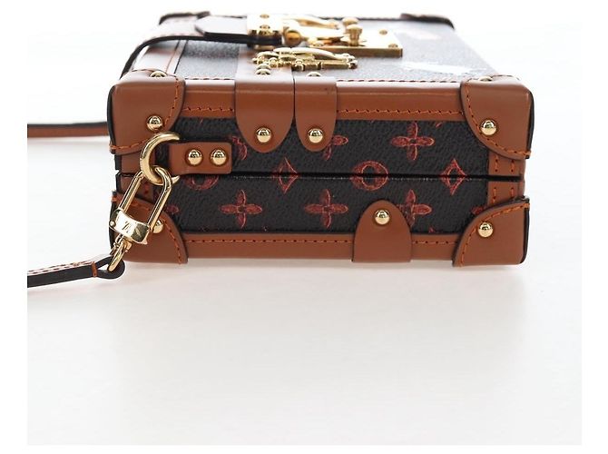Louis Vuitton Petite Malle Limited Edition Grace Coddington Catogram Canvas - vista 3