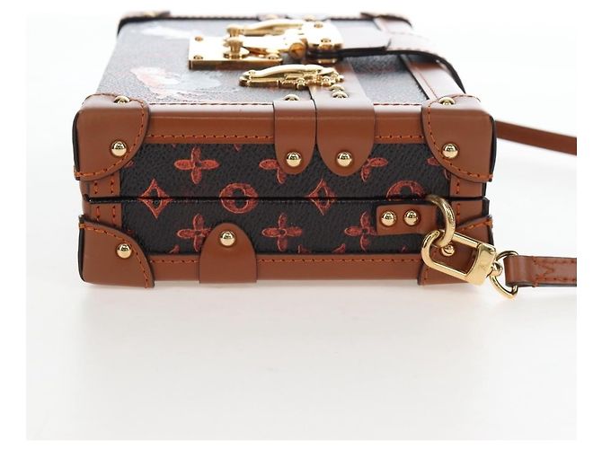 Louis Vuitton Petite Malle Limited Edition Grace Coddington Catogram Canvas - vista 4