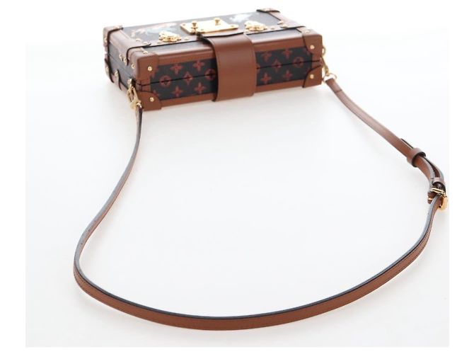 Louis Vuitton Petite Malle Limited Edition Grace Coddington Catogram Canvas - vista 6