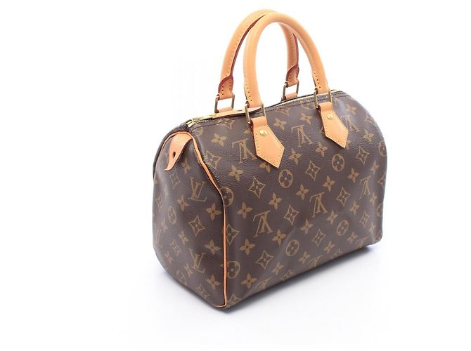 Borsa Louis Vuitton Speedy 25 - vista 2