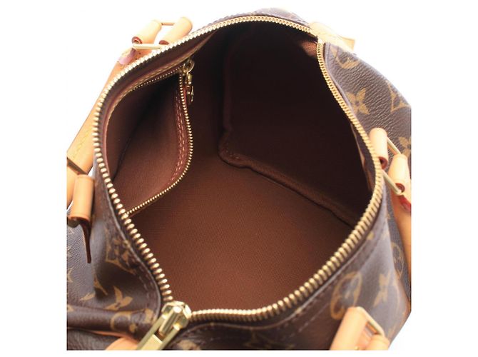 Borsa Louis Vuitton Speedy 25 - vista 3