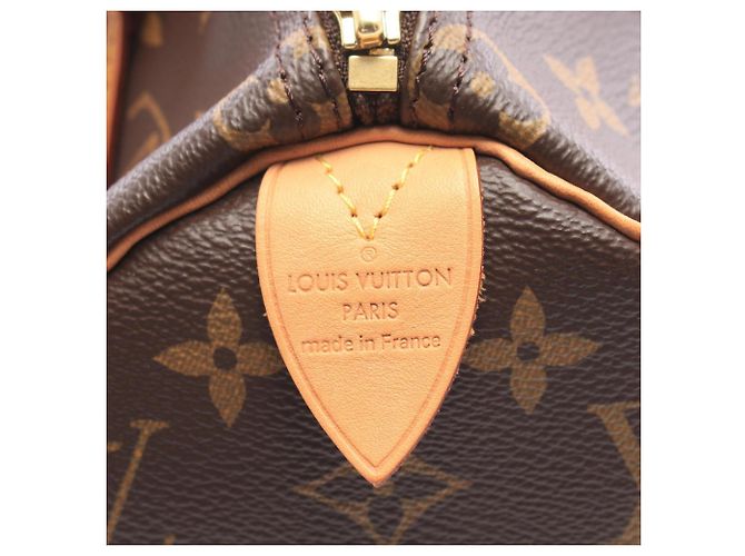 Borsa Louis Vuitton Speedy 25 - vista 4