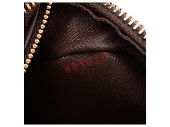 Borsa a tracolla Louis Vuitton Trocadero 27 - vista 5