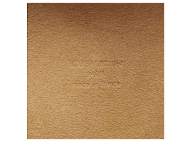 Louis Vuitton Pochette Florentine Waist Bag - vista 4