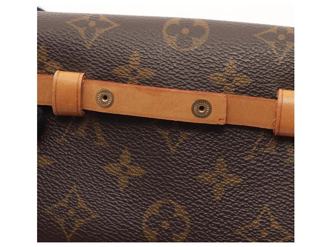 Louis Vuitton Pochette Florentine Waist Bag - vista 9