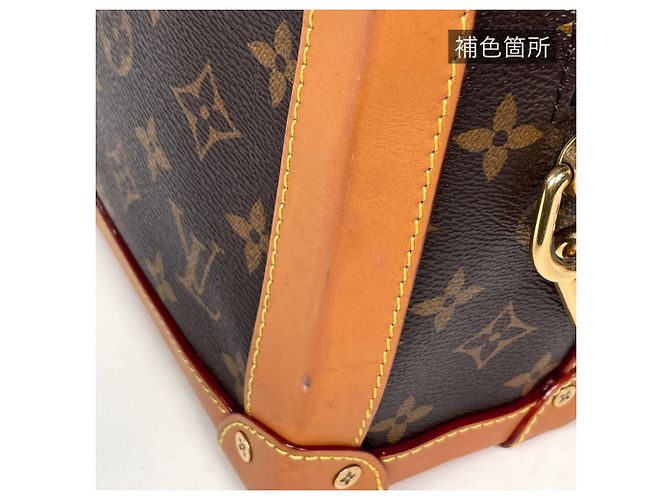 Borsa a tracolla Soft Trunk Louis Vuitton - vista 5
