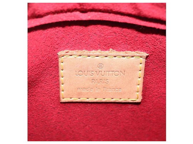 Cité Louis Vuitton Viva Cite Monogram Canvas PM - vista 6