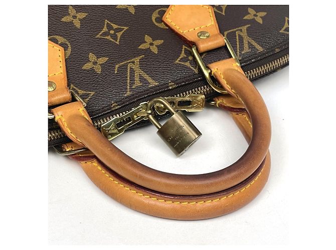 Borsa a mano Louis Vuitton Alma - vista 6