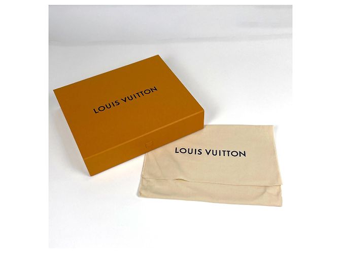 Louis Vuitton Pochette Voyage Souple Clutch Bag - vista 8