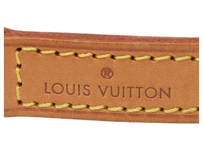 Tracolla Louis Vuitton marrone e oro - vista 5