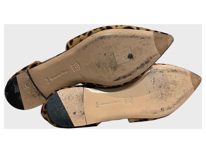 Bailarinas Gianvito Rossi leopard T.37,5 - vista 7