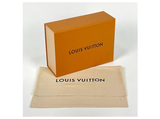 Borsa Louis Vuitton LV Biker PM - vista 8
