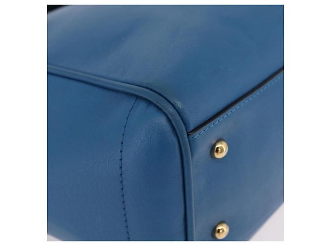 LOEWE Tote Bag Leather Gold Blue - Ansicht 16