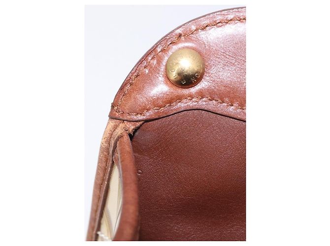 LOUIS VUITTON Charm Cabas Bron Hand Bag Brown White M95157 LV - vista 11