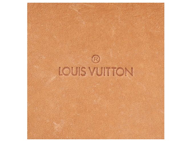 Borsa Boston Louis Vuitton Monogram Sirius 45 in pelle - vista 10
