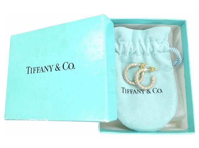 Autre Marque Orecchini a cerchio Tiffany & Co. Combination Twist Chain - vista 2