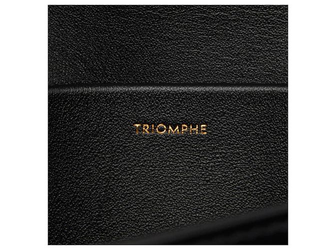 Céline Celine Triomphe Claude Schultertasche mit Kette - Ansicht 10