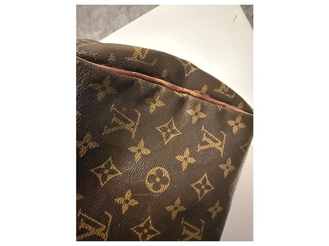 Borsa Louis Vuitton Speedy 30 Monogram - vista 20