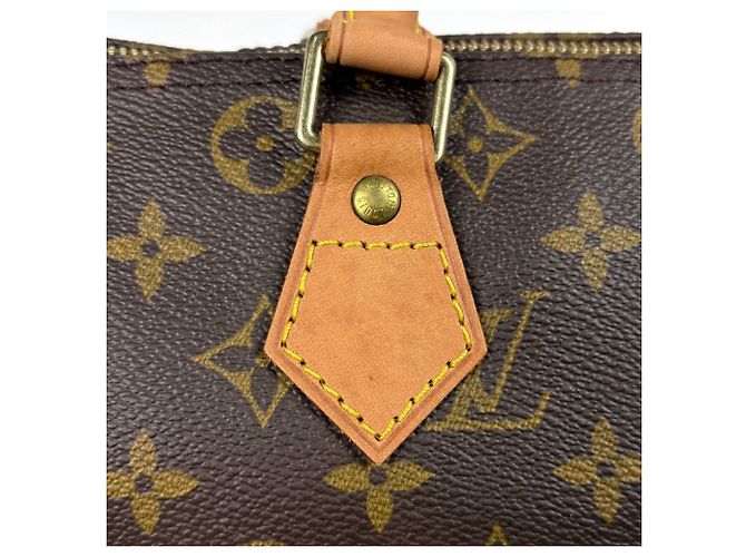 Borsa a mano Louis Vuitton Speedy 30 - vista 4