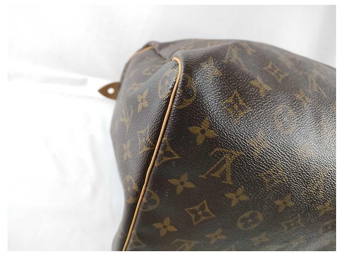 Louis Vuitton Speedy Monogram Canvas 40 - vista 3