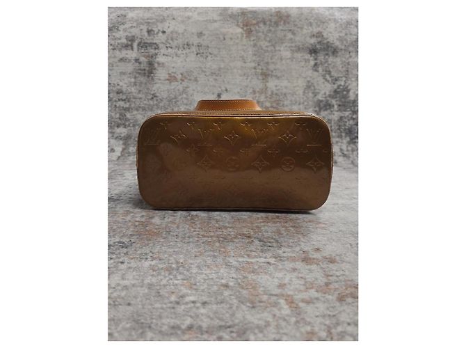 Magnifica borsa Louis Vuitton - vista 6
