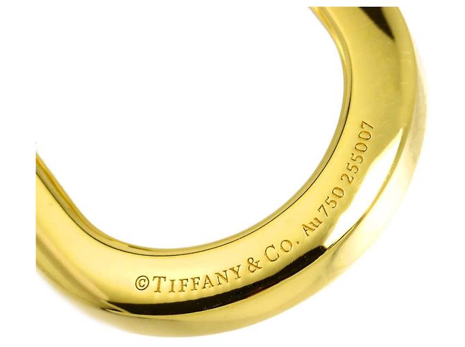 Autre Marque Collana Tiffany & Co. Lock Medium - vista 4