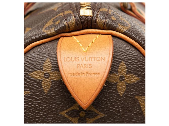 Borsa Boston Louis Vuitton Monogram Speedy 25 Marrone - vista 5