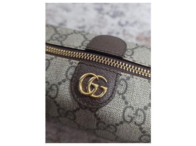 Magnifica Pochette Gucci Ophidia - vista 10