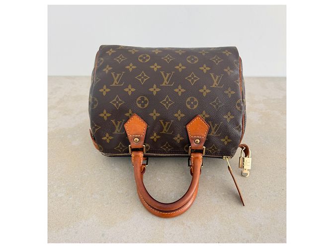 Louis Vuitton Speedy 25 Monogram Canvas - vista 11