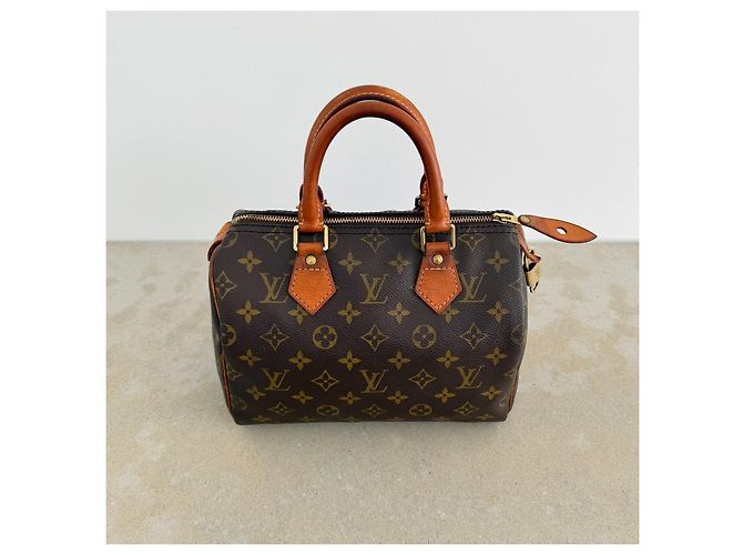Louis Vuitton Speedy 25 Monogram Canvas - vista 12