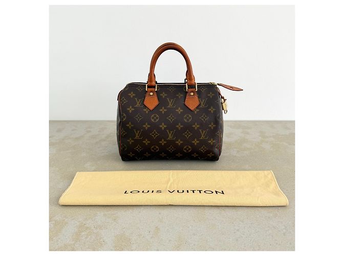 Louis Vuitton Speedy 25 Monogram Canvas - vista 4