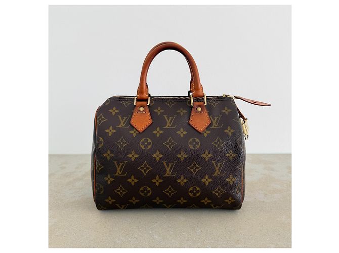 Louis Vuitton Speedy 25 Monogram Canvas - vista 5