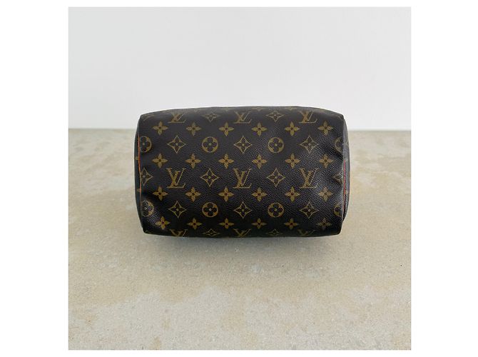 Louis Vuitton Speedy 25 Monogram Canvas - vista 9
