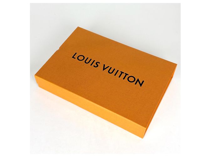 Louis Vuitton Echarpe Reykjavik Scarf - vista 5