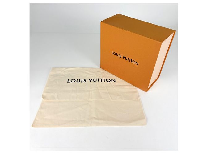 Louis Vuitton Sac Plat BB 2-Way Tote Bag - vista 12