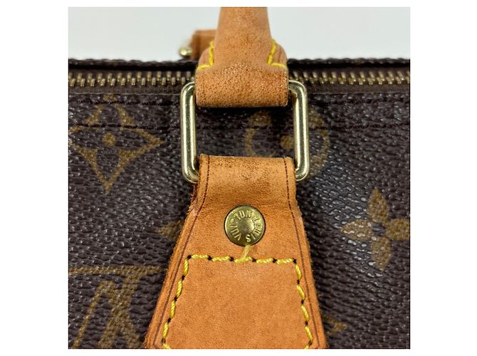 Borsa Louis Vuitton Speedy 25 - vista 5