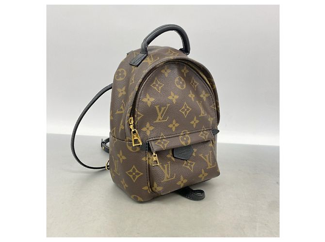 Louis Vuitton Monogram Palm Springs Rucksack MINI - Ansicht 2