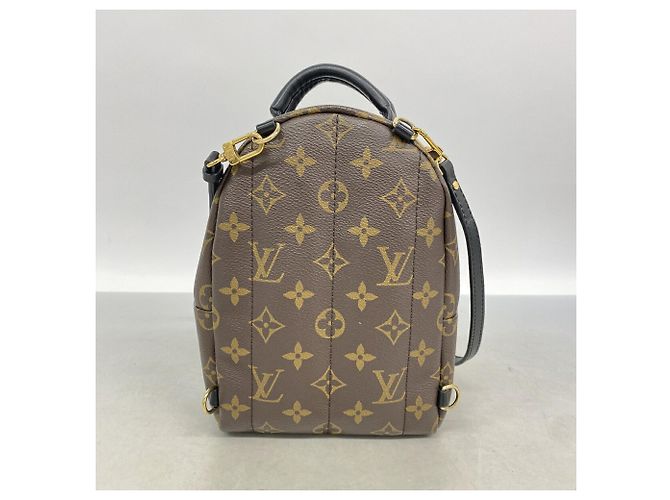 Louis Vuitton Monogram Palm Springs Rucksack MINI - Ansicht 9
