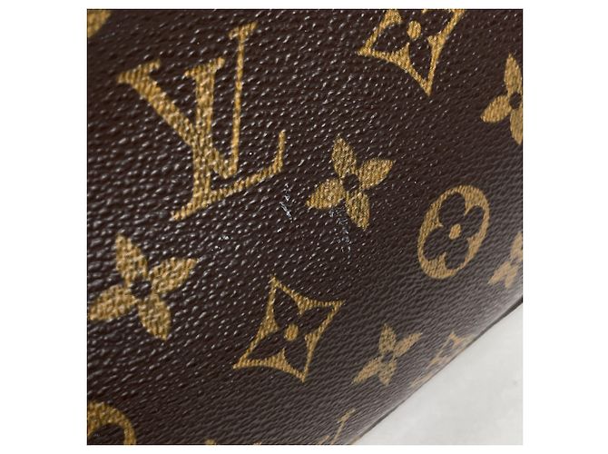 Louis Vuitton Pochette Accessoires Pouch - vista 4