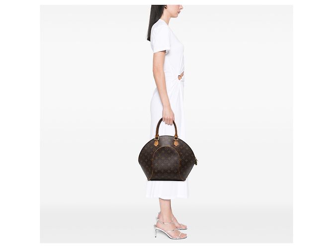 Louis Vuitton Brown Monogram Ellipse MM - vista 5