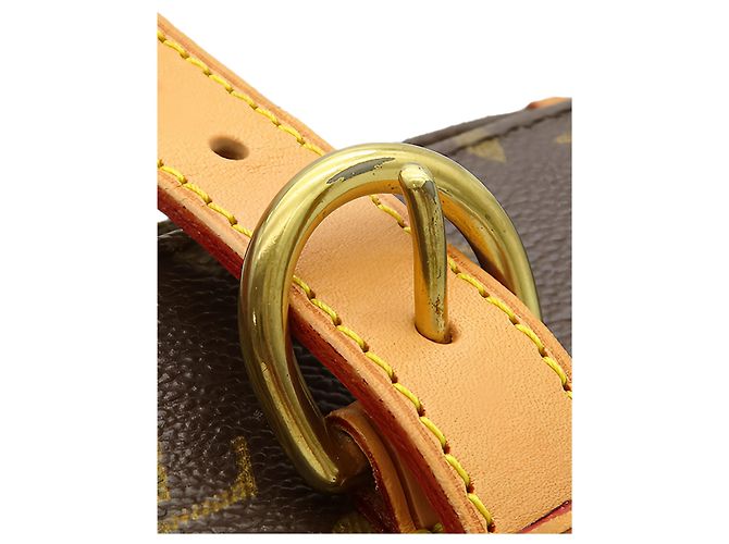 Louis Vuitton Brown Monogram Popincourt Haut - vista 9
